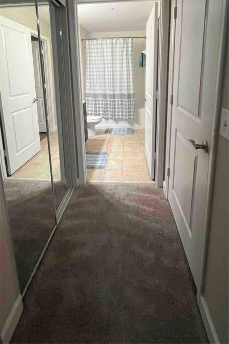 Blooming Journey In Tampa Bay! Apartment Luaran gambar